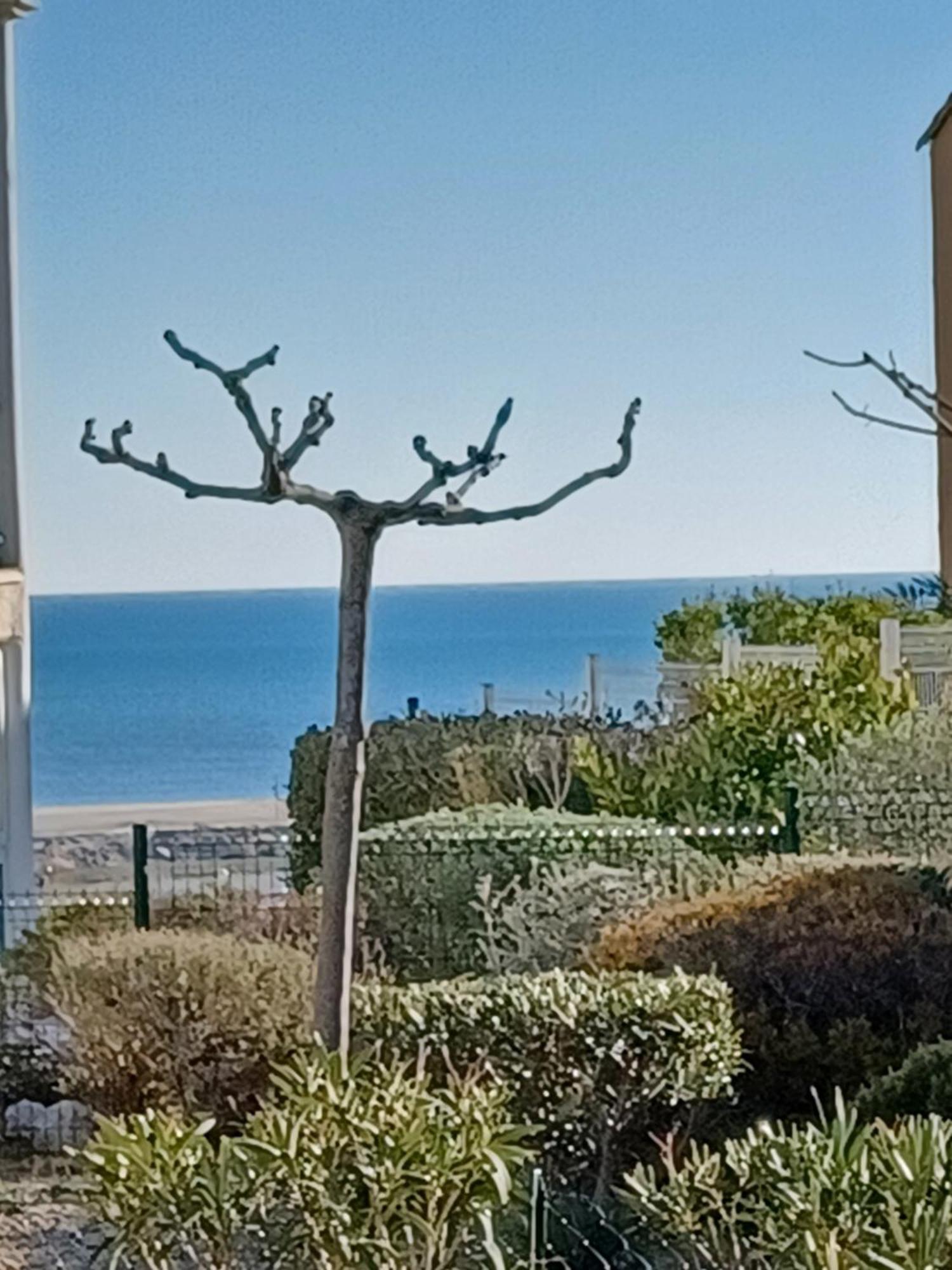 Plain-Pied Jardin 6 Personnes Clim Vue Mer Parking Wifi Terrasse Piscine Dans La Residence Saint-Pierre-la-Mer  Exterior foto